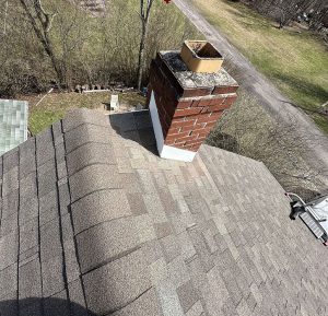 Roof Cricket